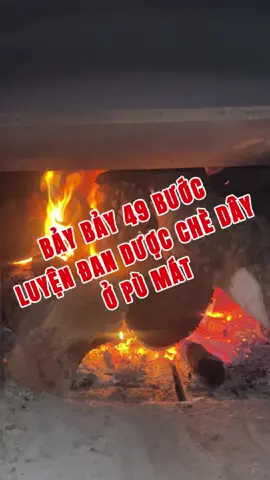 Làm viên hoàn cao chè dây ở pù mát ít người biết đến #duoclieu #cheday #daudaday #viemloetdaday #traonguocdaday 