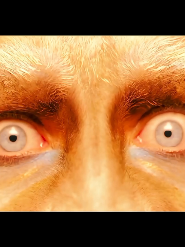 أصبح اسير وردة سحرية #تريند #foryou  #kdrama #drama #كيدراما 