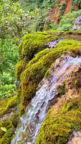 Goa Tetes, sekali datang memang bikin datang lagi,... #Tracking #Adventure #Goatetes #Lumajang #WisataAlam