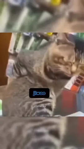 woilahhh ini siapa yg edit 🤣🤣 #Hearts2Hearts #하츠투하츠 #H2H #fypviralシ 