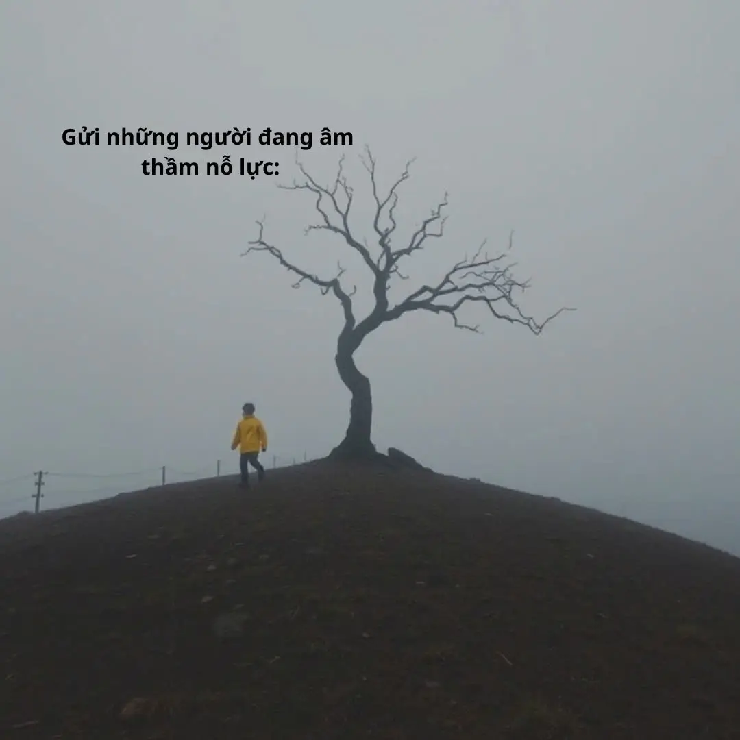 #caunoihay #tusachandanh #fyp 