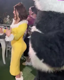 سبب طلاق جهاد من عصام صاصا