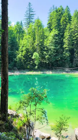 Magic in Eibsee, Germany #vinland #germany #mountains #nature #landscape 
