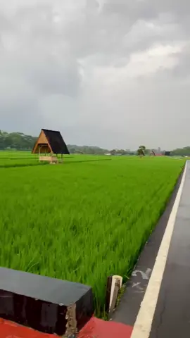 Alah meni syahdu kie #kdm #jabaristimewa #subang 