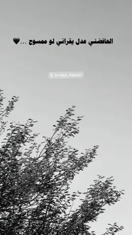 الحافضني عدل 🫡 #مالي_خلق_احط_هاشتاقات🦦 #عباراتكم_الفخمه📿📌 #متابعه_للحساب #اعاده_نشر🔁 #تصويري_احترافي_الاجواء👌🏻🕊😴 