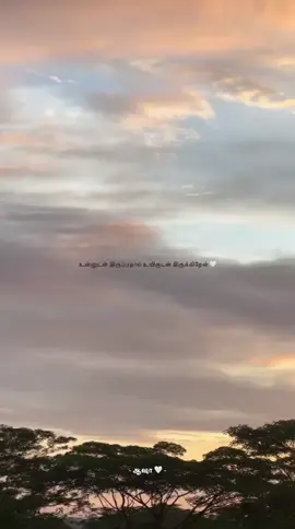 முதல் முறை உன்னை பார்த்தபோதே 🤍 #fyp #tamilsong #aasha🤍🦋 