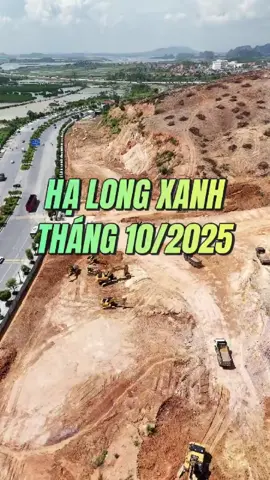 Hạ long xanh 