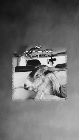 😂🤌🏻😭😂😂😂.  ...  .  #عباراتكم_الفخمه📿📌 #تصميم_فيديوهات🎶🎤🎬 #90 #flyp 