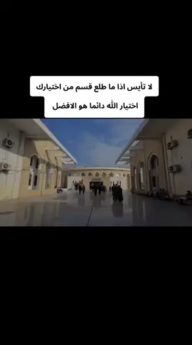 شنو قسمكم؟ #جامعة_الكوفة #كلية_العلوم #طلاب_الجامعات #العراق_السعوديه_الاردن_الخليج #طلاب_السادس 