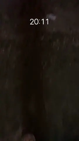 Ghê vãi #xuhuong #xuhuongtiktok #xuhuongtiktok #xuhuong #xuhuongtiktok 