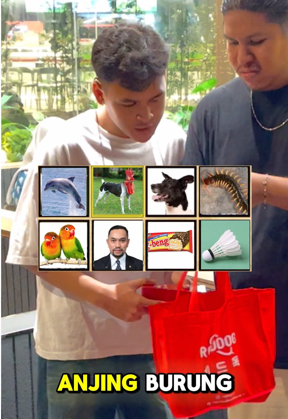 Kepencet emot kah? #prank #reddog @Reddog 