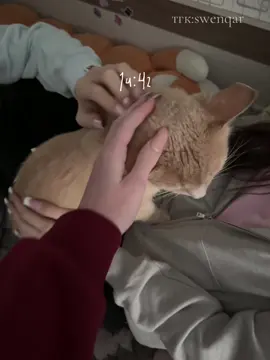 какой день вайб боже #minivlog 