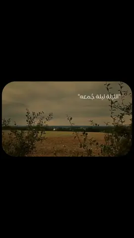 صلي الله علي محمد عدد ماذكره الذاكرون وغفل عن ذكره الغافلون 🕊️🤍 #راحة_نفسية #ليلة_الجمعة #صلوا_على_رسول_الله #مواعظ #صلي_علي_النبي_محمد_صلي_الله_عليه_وسلم 