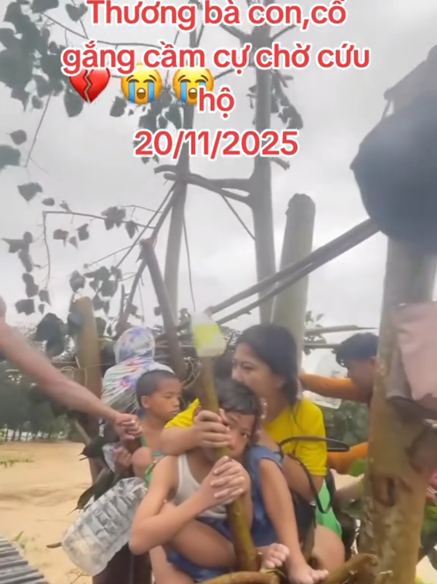 Thương đồng bào, cố gắng vượt qua ❤️ #lulutmientrung  #ngaplut #phuyen  #bãolụtmiềntrung #trendingvideo 