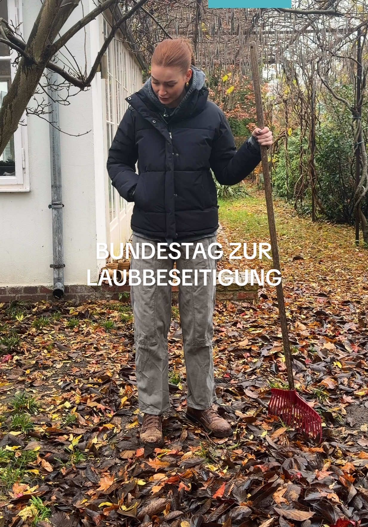 Ich geh dann mal harken 🍂 #Deutschland #Bundestag #Comedy