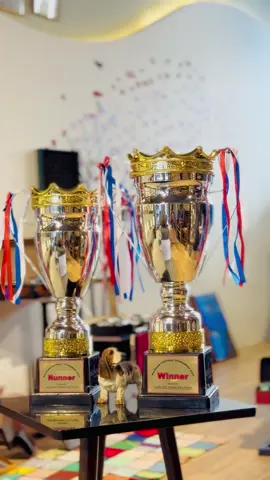 Tomorrow insha Allah big final match .Thana eleven fc vs Al mujahid fc alimast in Thana college ground❤️#fyp #football #footballtiktok #foryoupage❤️❤️ 