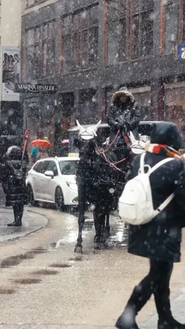 Snowy Christmas in Vienna 🎄 When snow meets Christmas lights, Vienna feels like a dream, quiet streets, glowing markets, and timeless magic in every corner. Come visit Vienna 🤗 All content © @vienna_visitas. All rights reserved. #christmasinvienna #snowyvienna #christmas #snow #vienna