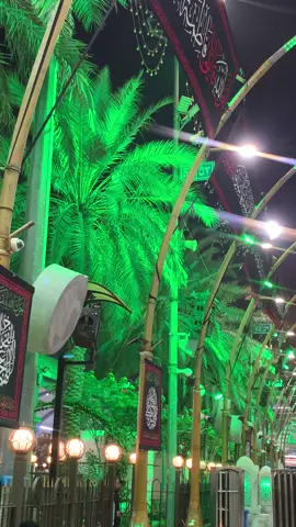 #اليلة_الجمعة #زيارة_الامام_الحسين_ع_ #السلام_عليك_يااباعبد_الله_الحسين_ 