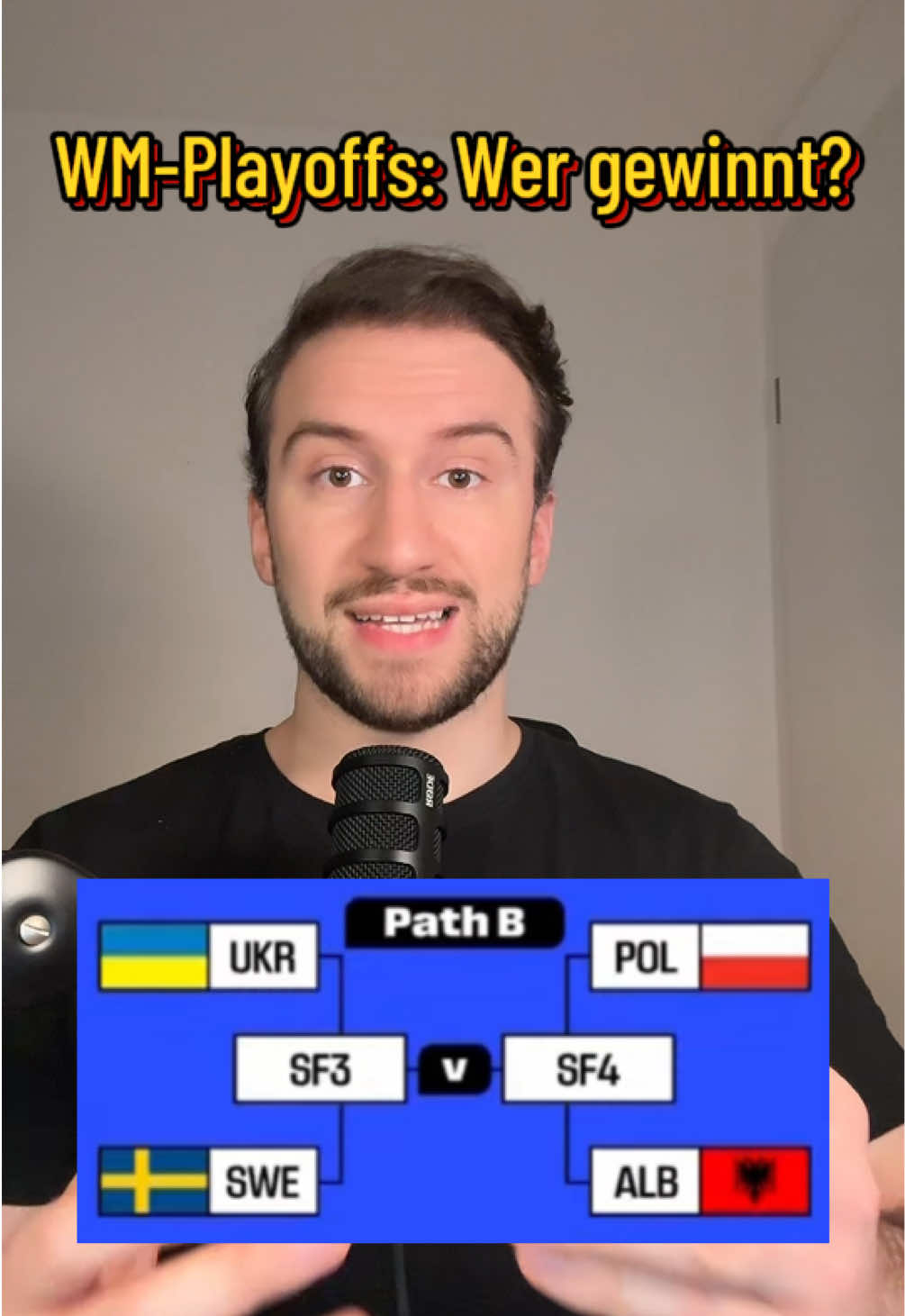 Wer fährt zur WM? 🇵🇱🇦🇱🇺🇦🇸🇪 #fussball#albanien#albania#polen#ukraine