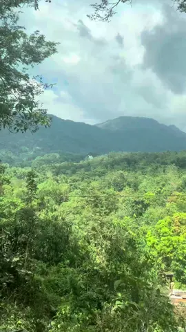 Baguio, you made it hard to leave. @® #CapCut #baguio #fyp #fypage 