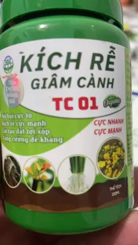 Mọi người vào tham khảo #xuhuongtiktok #tiktok #capcut #thinhhanh 