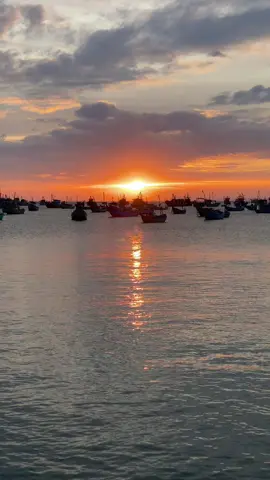 Hàng cây như cũng lao xao… - #muine #bien #phanthiet #hoanghon #fyp 