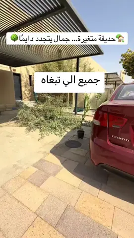 #زرعه خارجيه #اشجار_منزلية #بلدوره_انترلوك_البلاط #تصميمات_الرياض_ديكورااات #نبتات_منزلية 