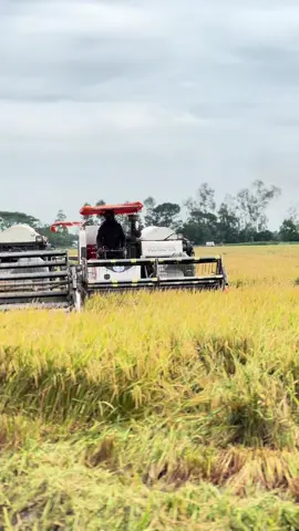 Ước xu hướng 1 lần nữa.😂#xuhuong 