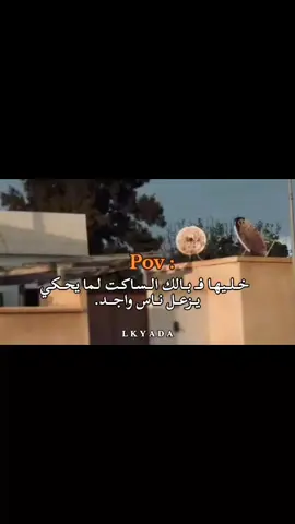 ألساكت لمـا يحـكي يزعل ناس واجد. #تصميم_فيديوهات🎶🎤🎬 #استوريات #اعادة_النشر🔃 #جبراتت📮 #استوريات 