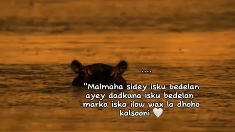 ...♾️🖤 #viraal #foryou #fyp 