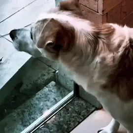 👀#foryoupage #phonk #funk #fyp 