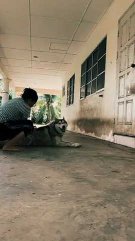 #CapCut #xyzbcafypシ #fypシ゚viral #foryoupage #sibupipol 