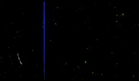 #حصلل😂😂 #ضحك😂 #كلام_ضحك #الشعب_الصيني_ماله_حل😂😂🏃🏻‍♀️ #تصميم_فيديوهات🎶🎤🎬 #😂😂😂😂😂😂😂😂😂😂😂😂😂😂😂