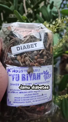 🔥✨ WEDANGAN JOGJA HADIRKAN JAMU TRADISIONAL “YU BIYAH” ✨🔥   Capek, pegel, gampang masuk angin? Saatnya balik ke racikan alami yang udah turun-temurun dipercaya bikin badan lebih **seger, enteng, dan anget**. 🤎🌿 Jamu Tradisional **Yu Biyah** dibuat dari rempah pilihan ala wedangan Jogja: jahe, sereh, kunyit, temulawak, kayu manis, sampai herbal khas yang bikin rasa hangatnya nendang tapi tetap nikmat. Cocok diminum pagi biar semangat, atau malam buat relaks habis kerja seharian. 🍃🔥 Yang paling penting:   ✔️ Tanpa bahan kimia   ✔️ Handmade fresh setiap hari   ✔️ Rasa tradisional yang bikin kangen   ✔️ Bantu jaga imun & stamina   Nggak perlu jauh-jauh ke Jogja, cukup satu botol jamu **Yu Biyah**, rasanya udah kaya nongkrong di wedangan favorit. 🤎✨   Kalau kamu team “jamu itu pahit”, siap-siap berubah pikiran, karena jamu ini bikin nagih! 😍 Yuk, dukung produk lokal & hidup lebih sehat.   Tag temanmu yang butuh “rempah therapy” versi Jogja! 💛🔥 #jamuTradisional #JamuYuBiyah #wedanganJogja #jogjakuliner #fypdong 