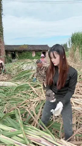 tarea haired takdera piyar TikTok teams please don't review TikTok teams please don't review TikTok teams please thank you for your help me with the reference image of a business man I love you too you can do it you can do it you can do it you can do it you can do it you can do it you can do it you can do it you can TikTok teams please don't review TikTok teams please don't review TikTok teams please don't review TikTok teams please don't review TikTok teams you can't find TikTok teams please don't review TikTok teams please don't review TikTok teams please don't review TikTok teams please don't you have yyyy yyy