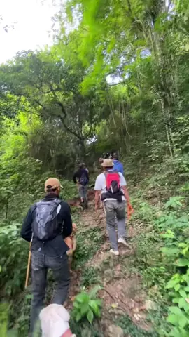 #fyppppppppppppppppppppppp #porbibone #porbi_sumbar #peburubapiliar #viraltiktok #sadstory #masuberanda 