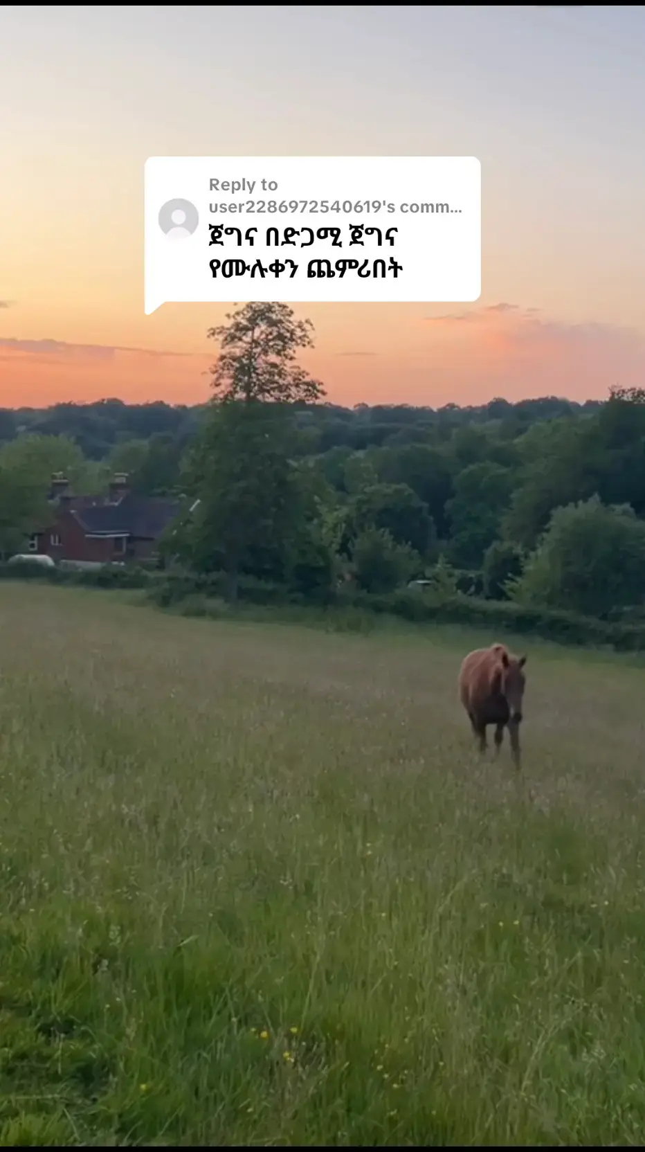 Replying to @user2286972540619 