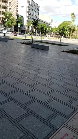 oujda 💚💚🍂🐴