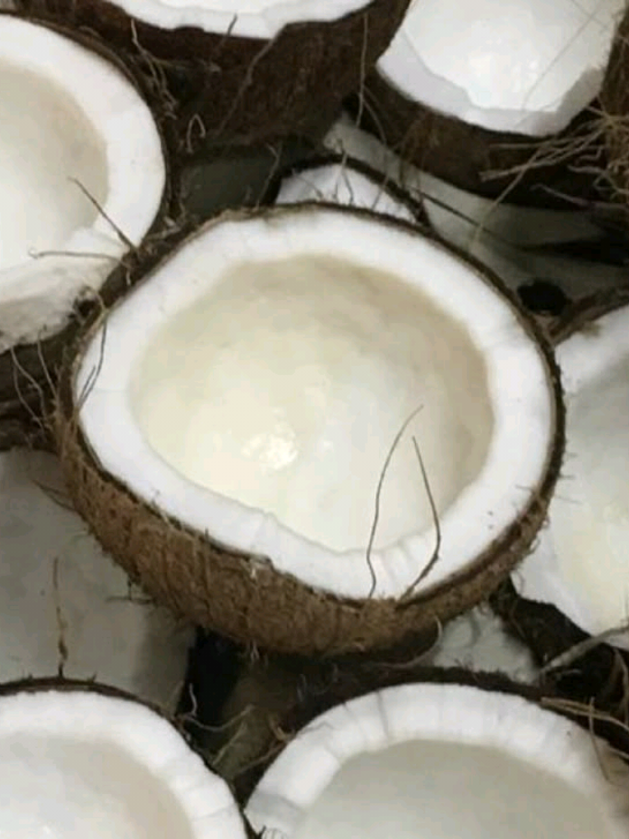 jenlisa(mm)#jenlisabest #begeni #kesfet #jenlisa #jenlisabestlover 