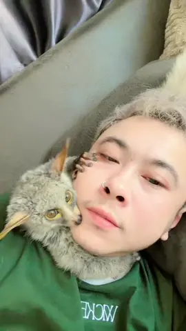 ใครก็ได้เอาไอ้ปื๊ดไปที🤣🤣🤣🤣 #หนิง #สัตว์โลกน่ารัก #คู่รักสายฮา #ครอบครัวสายฮา #fypシ 