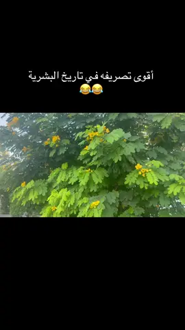 #النساء_وما_ادراك_ما_النساء 😂