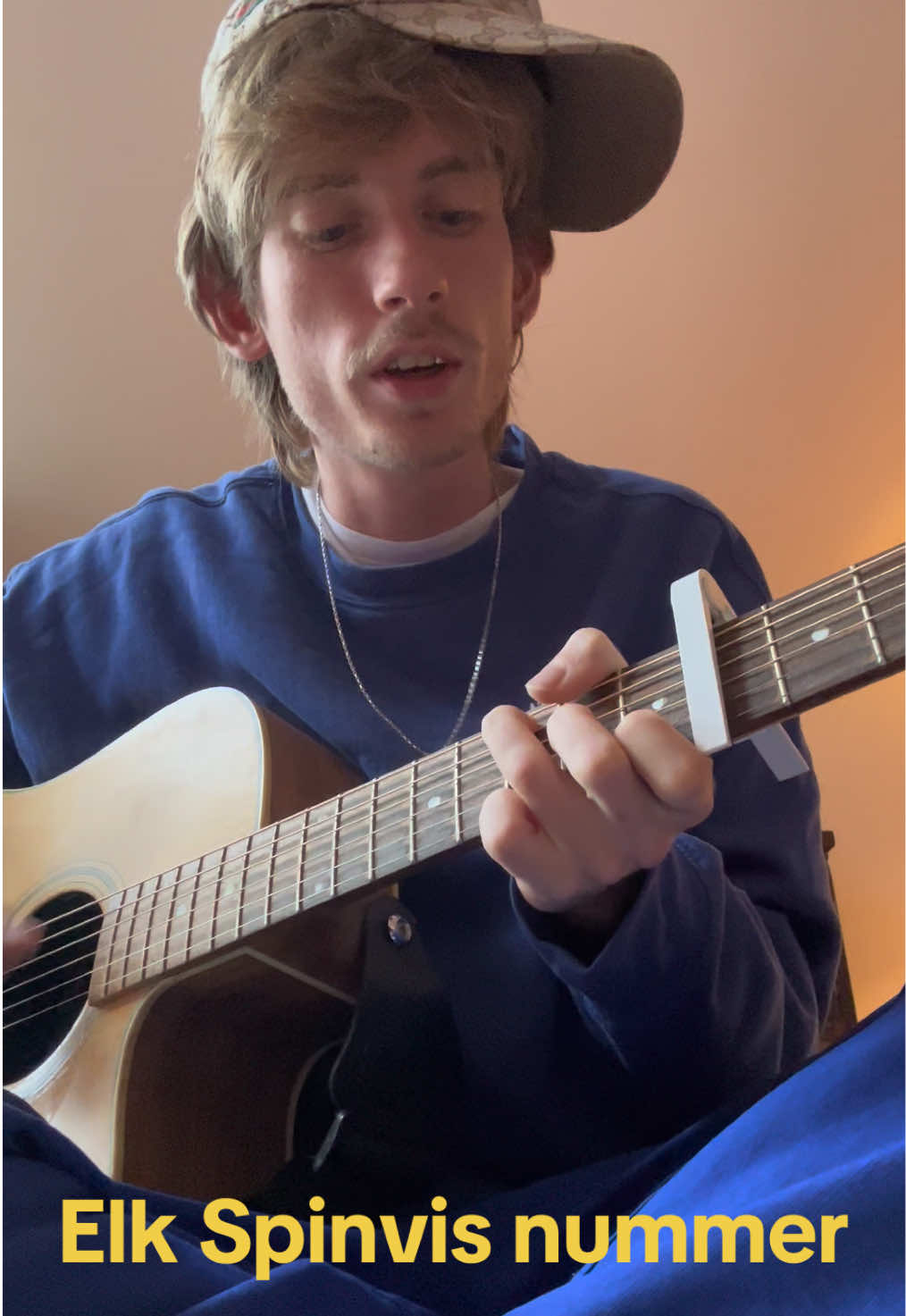 Elk @spinvis nummer ooit #spinvis #nl #fyp #voorjoupagina #nlmuziek 
