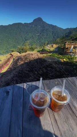 view triệu đô ⛰️#tamdao #healing #nongtraibanmay #viewtrieudo #xuhuong 