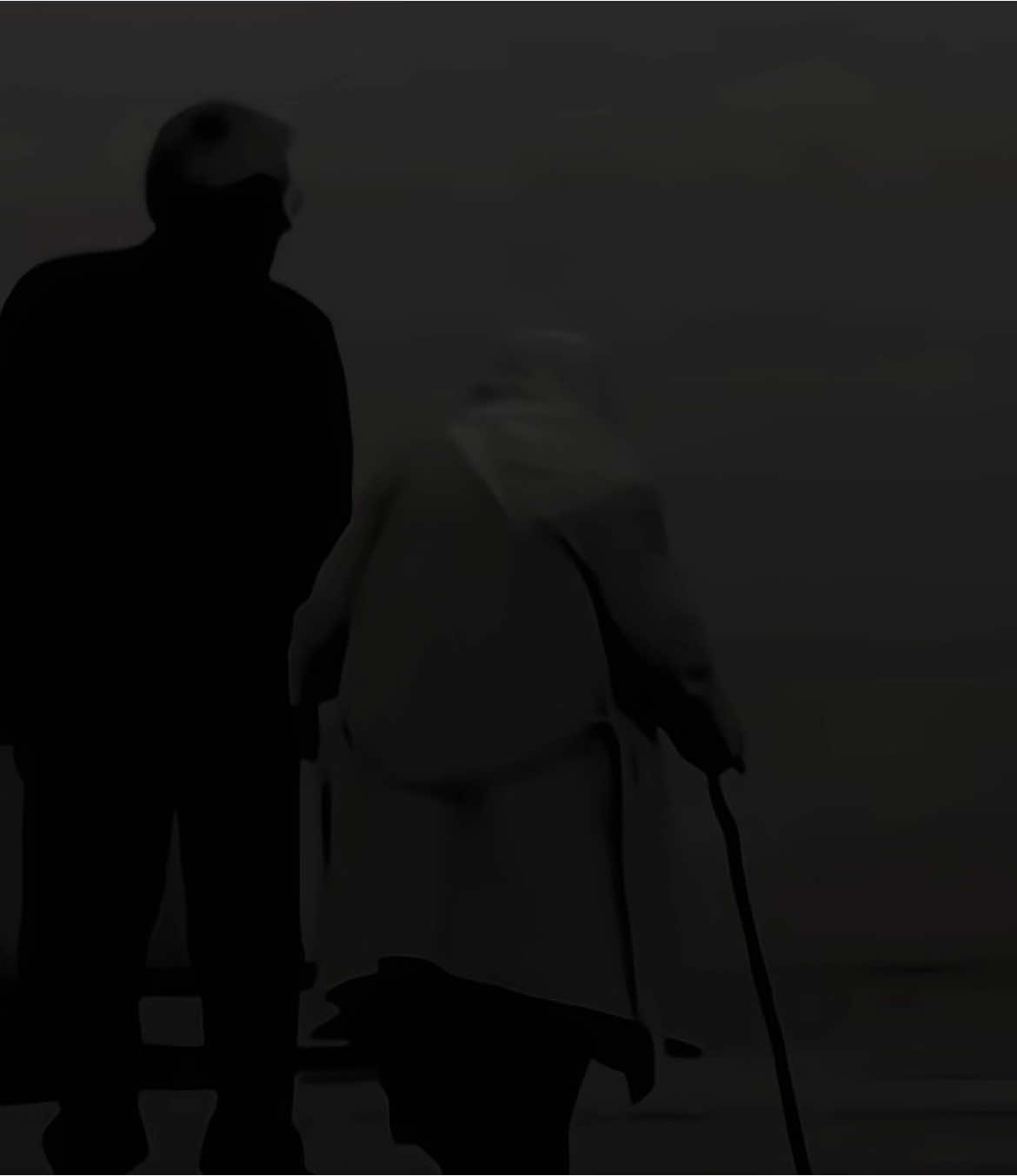 🎼Sợ ngày mai khi trí nhớ đã già…#nhacbuon #tamtrang #sadmusic #xh #xuhuong 