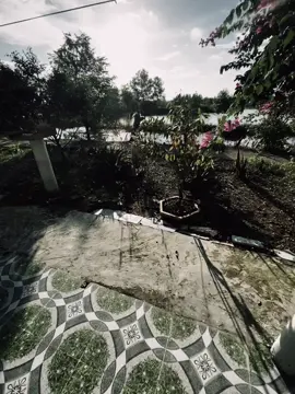 ..#fyp #tamtrang #story 