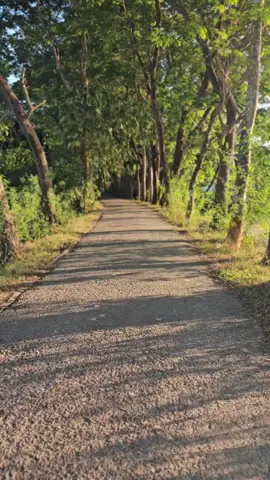 #কথা সামান্য নয় পুরুষের কথার আঘাতেই নারী তার গন্তব্য বদলায়,,!!#🥀🖤🖤🖤🖤🥀🥰🥰🥰🥰🥰🥰🥀 