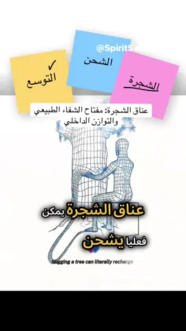 عناق الشجرة: مفتاح الشفاء الطبيعي والتوازن الداخلي #الشجرة_والطاقة #التأريض_الطبيعي #علاج_بالطبيعة #صحة_نفسية #معرفة_بيولوجية 