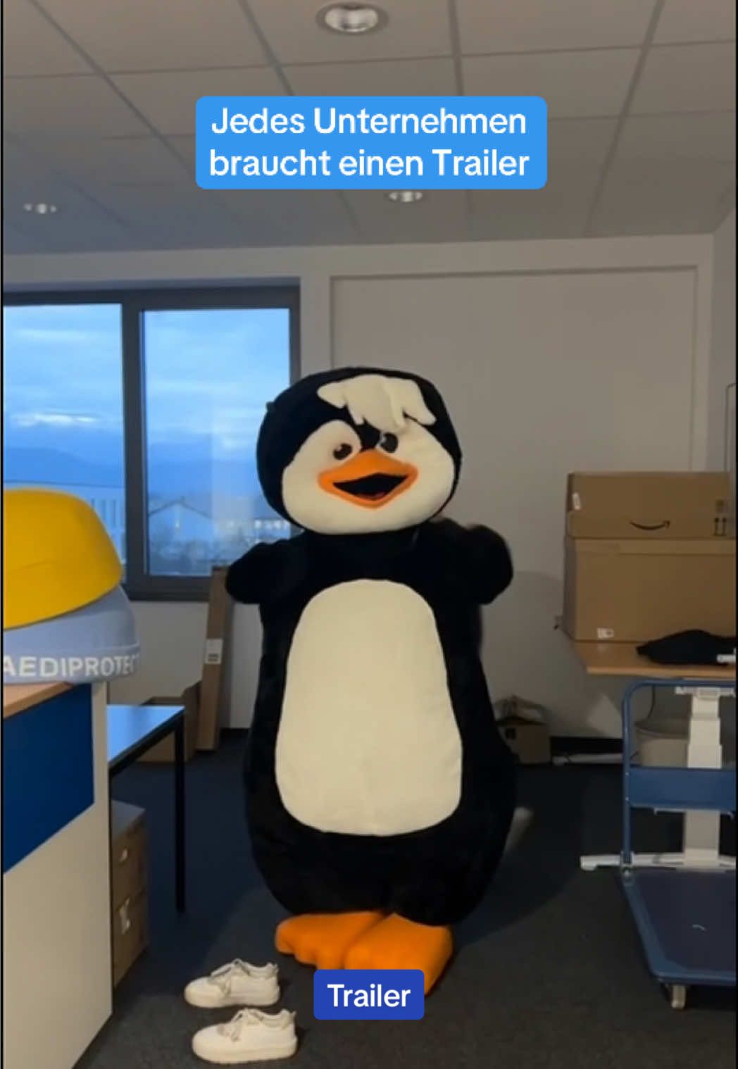 Keine Sorge, wir arbeiten auch noch nebenbei😂 #fürdich #fyp #paediprotect #trailer #office 