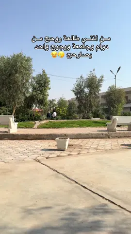 أڪَــول خطية 😂😂 #كلية_العمارة_الجامعه ✨