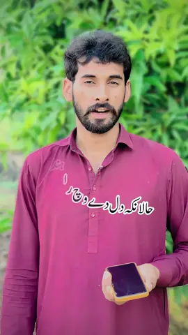 #میاں۔عامر۔شاعری✍️ #foryou #pleasetiktokteamdontunderreviewmyvideo #دل وچ راہندے ولا وی الزام لائ بیٹھے#@میاں  عامر  رائیٹس✍️ #سنگت_ویڈیو_وائرل_کریسو_آپ_ہیں🥀🌼🙈✨🎇 